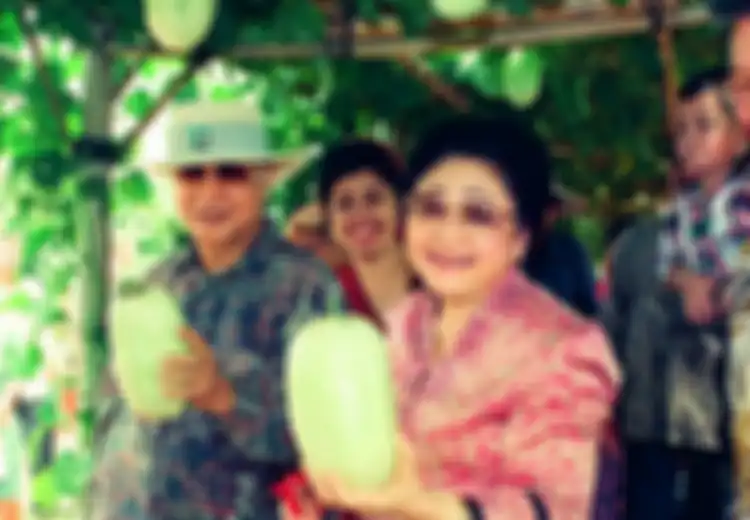 Dulu Kematian Tien Soeharto Mengundang Misteri, Akhirnya Terkuak Bukan Karena Ditembak Anaknya, Tetapi Alami Hal Ini Ketika Asyik Melihat Tanamannya Berbuah