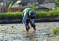 Weton Jawa Hari Ini, Weton Selasa Pahing, Pekerjaan yang Cocok untuk Kelahiran Weton Ini Menurut Primbon Jawa