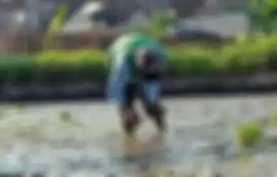Weton Jawa Hari Ini, Weton Selasa Pahing, Pekerjaan yang Cocok untuk Kelahiran Weton Ini Menurut Primbon Jawa