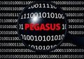 Cara Mencegah Serangan Spyware Pegasus di HP Pribadi, Wajib Dicoba!