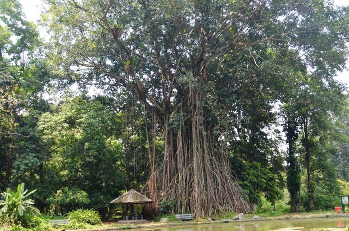 Menjadi Dasar Negara Kita, Inilah Nilai-nilai Pancasila  