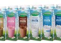 Awali Tahun dengan Resolusi Hidup Sehat, Salah Satunya Rutin Minum Susu!