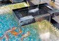Berencana Buat Air Terjun Berundak? Tak Perlu Pusing, Begini Tipsnya!