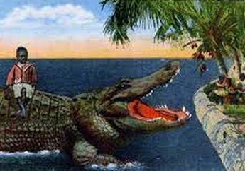 Hewan Buas Ini 'Dipuja' Berabad-abad Lamanya di Timor Leste, Kok Bisa?