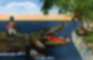 Hewan Buas Ini 'Dipuja' Berabad-abad Lamanya di Timor Leste, Kok Bisa?