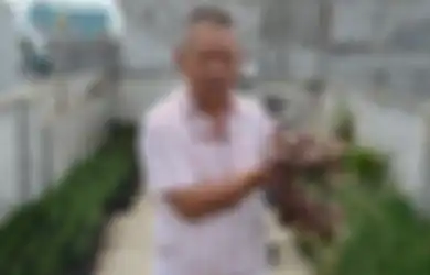 Mak Pak Kim, Pria Asal Medan yang 'Berkebun' di Ruko Lantai 5, Dari Bawang Hingga Kacang Tanah, Kreatif!