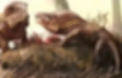 Giginya Bagaikan Pisau 'Steak:' Buaya Merah Ini Dapat Tumbuh Sepanjang 3 Meter dan Berkeliaran dari Eropa hingga China, Lebih Tua dari Era Dinosaurus