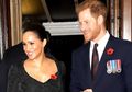 Usai Rayakan Ulang Tahun Anaknya, Kini Pangeran Harry dan Meghan Markle Tukar Kado di Hari Jadi Pernikahan yang Ke-2