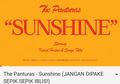 Lagu 'Sunshine' Dipake Buat Sepik-sepik, The Panturas Kasih Peringatan