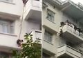 Demi Selamatkan Seekor Kucing, Kakek Nenek Ini Rela Bahayakan Cucunya yang Masih 7 Tahun