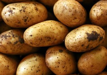 Banyak Orang Indonesia Mungkin Merasa Aneh, Ternyata Kita Bisa Mendapatkan Lebih Banyak Nutrisi Jika Mengolah 4 Sayur Ini Tanpa Mengupas Kulitnya