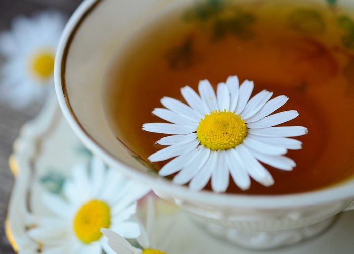 Teh chamomile