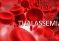 Mengenal Thalassemia Penyakit Kelainan Darah Bawaan yang Diselematkan Oleh Pasien Covid-19