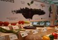 Tak Lagi Sulit! Kini Sayur Organik Bisa Dipesan dan Kirim Langsung ke Rumah Lho, Moms