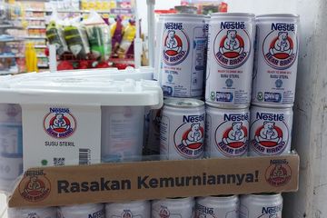 Obat kuat alami campuran susu beruang dan madu