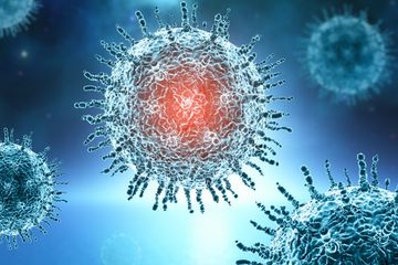 Jumlah kasus  virus corona penyebab Covid-19  seluruh dunia mencapai  63,584,784 orang. Dari jumlah tersebut 1,473,741 orang telah dinyatakan meninggal dunia. 