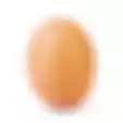 Foto Telur yang Pecahkan Rekor di Instagram Kini Lebih Berharga dari Semua Akun Kalian!