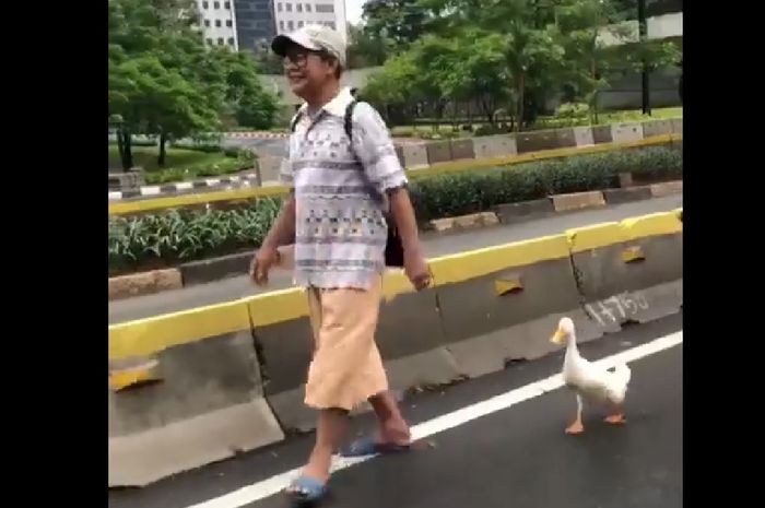 Seorang Pria membawa itik berjalan-jalan di Car Free day Solo