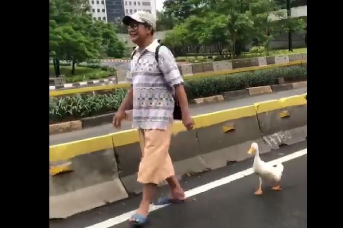 Seorang Pria membawa itik berjalan-jalan di Car Free day Solo