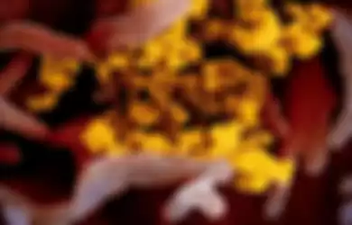 Ilustrasi-Gambar mikroskop elektron pemindai ini menunjukkan virus corona Wuhan atau Covid-19 (kuning) di antara sel manusia (merah). 