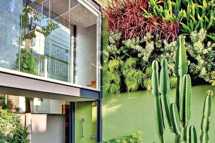 Taman Vertikal Cara Menanam Praktis Memanfaatkan Dinding, Berapa