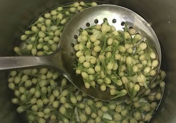 Mulai Malam ini Coba 15 Menit Rebus Bunga Melati Lalu Minum Sebelum Tidur, Jangan Kaget Kalau Seumur Hidup Tak Perlu Lagi Beli Skincare