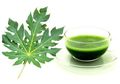 Jus Daun Pepaya Sebagai Obat Herbal Punya Khasiat Turunkan Darah Tinggi