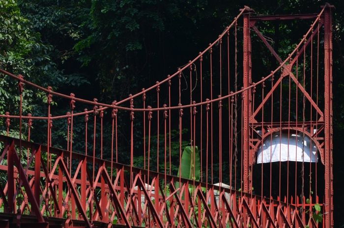 Jembatan Merah di Kebun Raya Bogor Ini Mirip Golden Gate Bridge - Bobo