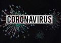 Nekat Sewa Pesawat Demi Bebas Liburan Saat Pandemi Virus Corona, Sepulangnya 28 Mahasiswa Ini Dinyatakan Positif Covid-19