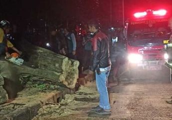 Meninggal Dunia Akibat Tertimpa Pohon di Pinggir Jalan ada Santunan Rp 50 Juta, Klaimnya Begini