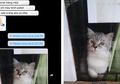 Nggak Ada Orang di Rumah, Kurir Ini Titipin Barang Kiriman ke Kucing