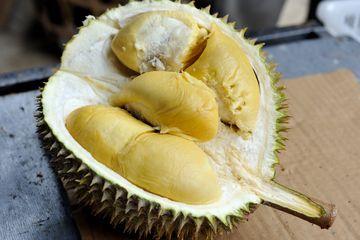 Untungnya tidak tersedak, pria paruh baya ini tak sengaja menelan biji durian yang membuatnya tidak makan selama 3 hari.