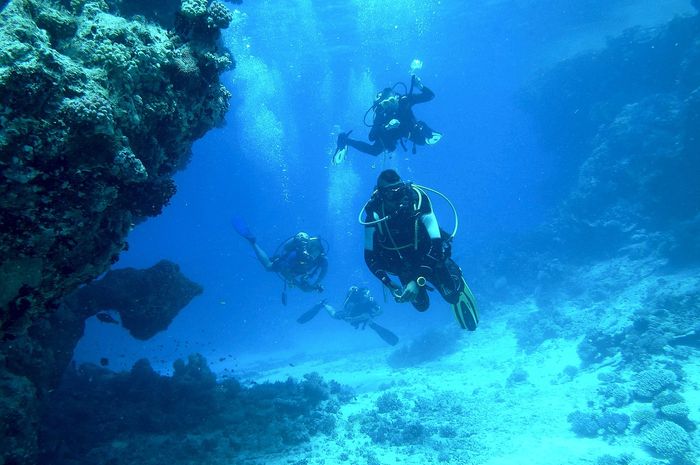 Termasuk Gunung Api Bawah Laut Tertinggi di Dunia, Ini Fakta Gunung