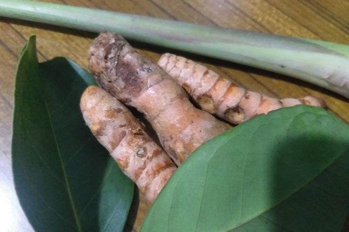 5 Jenis Masker Wajah Alami yang Ampuh untuk Menghilangkan Jerawat