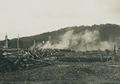 Pelajaran dari Kebakaran Hutan di Afdeeling Mojokerto 1891-1925