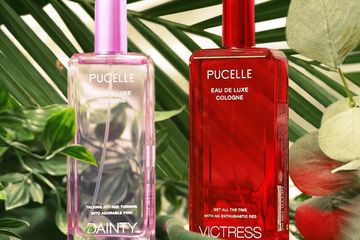 View Perfume Rumah Yang Wangi Background