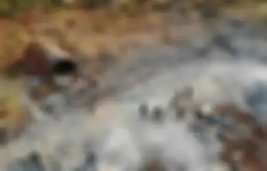 Algojo ISIS Beberkan Bayarannya untuk Setiap Kepala yang Sudah Terpenggal, Angka yang Terkumpul Setelah Penggal Lebih dari 100 Orang Ini Melebihi Ekspektasi Semua Orang
