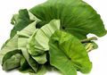 Ini 10 Manfaat Kesehatan Daun Talas, Baik untuk Kesehatan Ibu Hamil dan Cegah Kanker Usus Besar, Mau Coba?