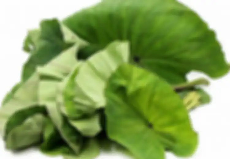 Ini  10 Manfaat Kesehatan Daun Talas, Baik untuk Kesehatan Ibu Hamil dan Cegah Kanker Usus Besar, Mau Coba?