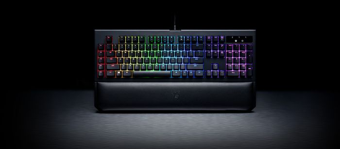 Razer Blackwidow Chroma