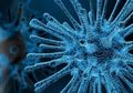 Imunitas Humoral Kuat Virus Corona yang Menginfeksi Tidak Bisa Berkutik, Ini 6 Cara Memilikinya