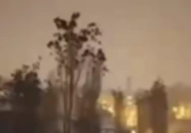 Burung Beterbangan Tak Tentu Arah 'Sebelum Gempa di Turki,' Deteksi Bencana? 