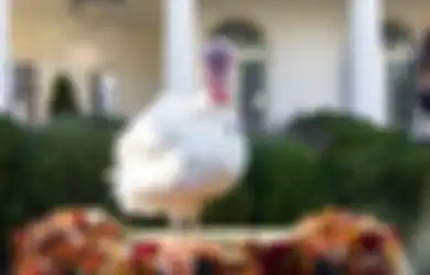 Tak Hanya di Amerika Serikat, Tradisi Thanksgiving Juga Ada Di Indonesia Bentuknya Sedekah Bumi