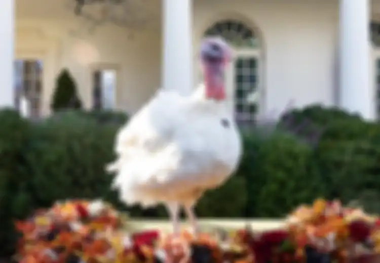 Tak Hanya di Amerika Serikat, Tradisi Thanksgiving Juga Ada Di Indonesia Bentuknya Sedekah Bumi