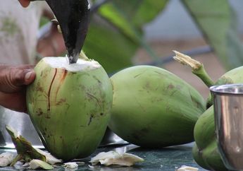 6 Bulan Rutin Konsumsi Air Kelapa Tiap Hari, Wanita Ini Takjub Alami Hal Tak Terduga pada Tubuhnya