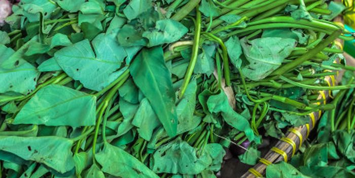 Pilih kangkung yang batangnya kecil, dan cuci di air mengalir. Sebelum dimasak rendam air garam.
