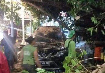 Ingat! Jadi Korban Pohon Tumbang di Jakarta Jangan Diam Saja, Bisa Klaim Santunan