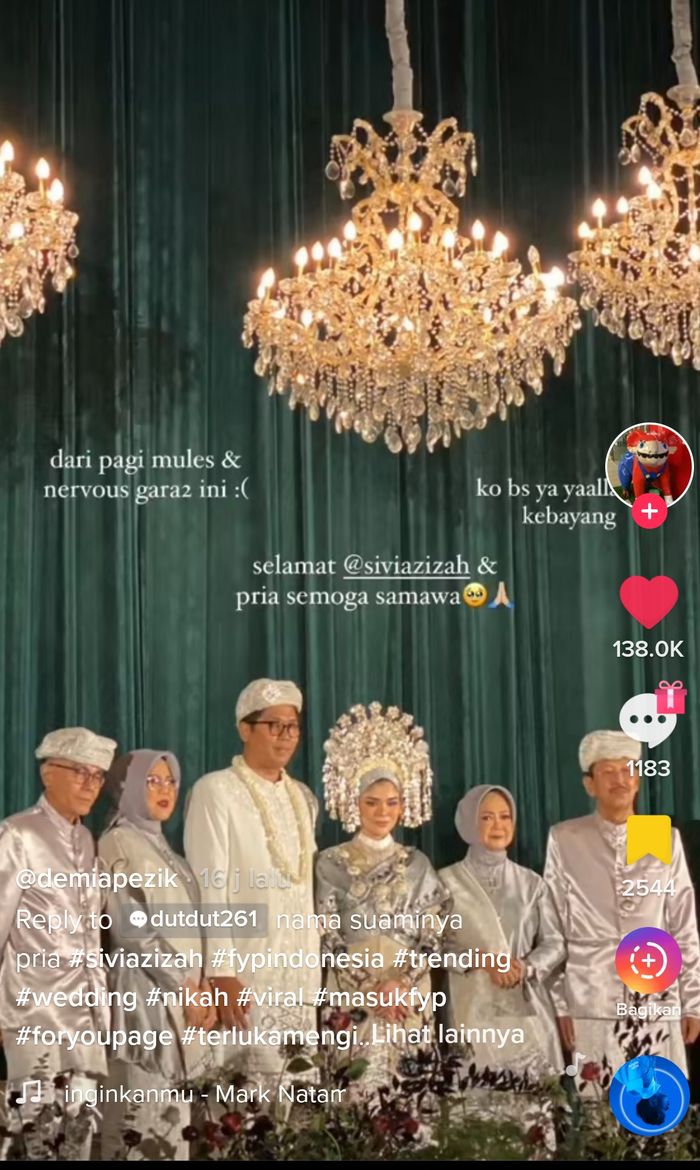 Sivia Blink menikahTikTok @demiapezik
