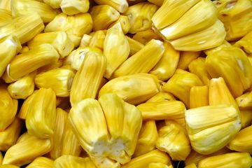 Meski Punya Banyak Manfaat Ternyata Buah Nangka Juga Punya Efek Samg Orang Dengan Kondisi Ini Sebaiknya Enggak Mengonsumsinya Semua Halaman Kids