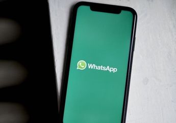 WhatsApp Rilis Fitur Ubah Gambar Jadi Stiker di iPhone iOS 16